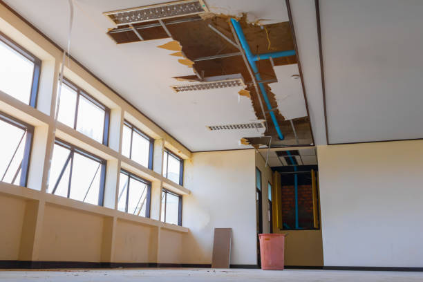  Thiells, NY Water damage restoration Pros