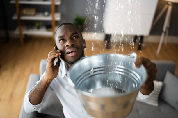 Best Local water damage restoration  in Thiells, NY