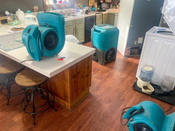 Best Carpet water damage restoration  in Thiells, NY