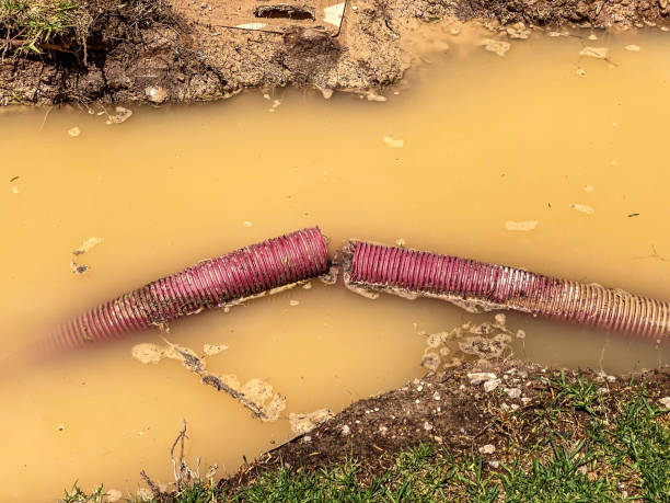 Best Carpet water damage restoration  in Thiells, NY