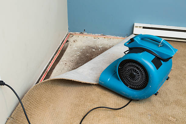 Best Basement water damage restoration  in Thiells, NY